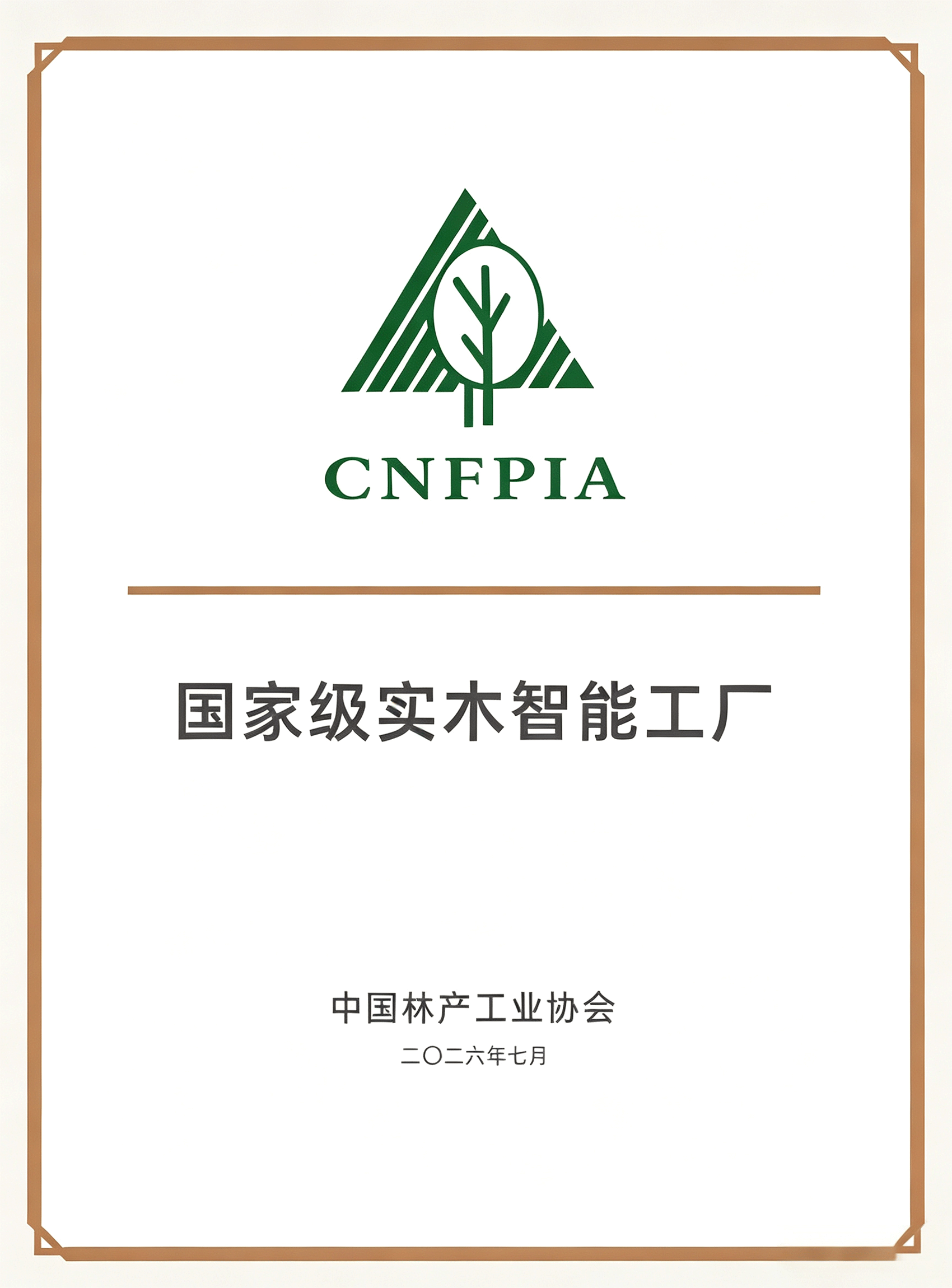 National Intellectual Property Advantage Enterprise